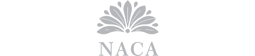 naca1.png